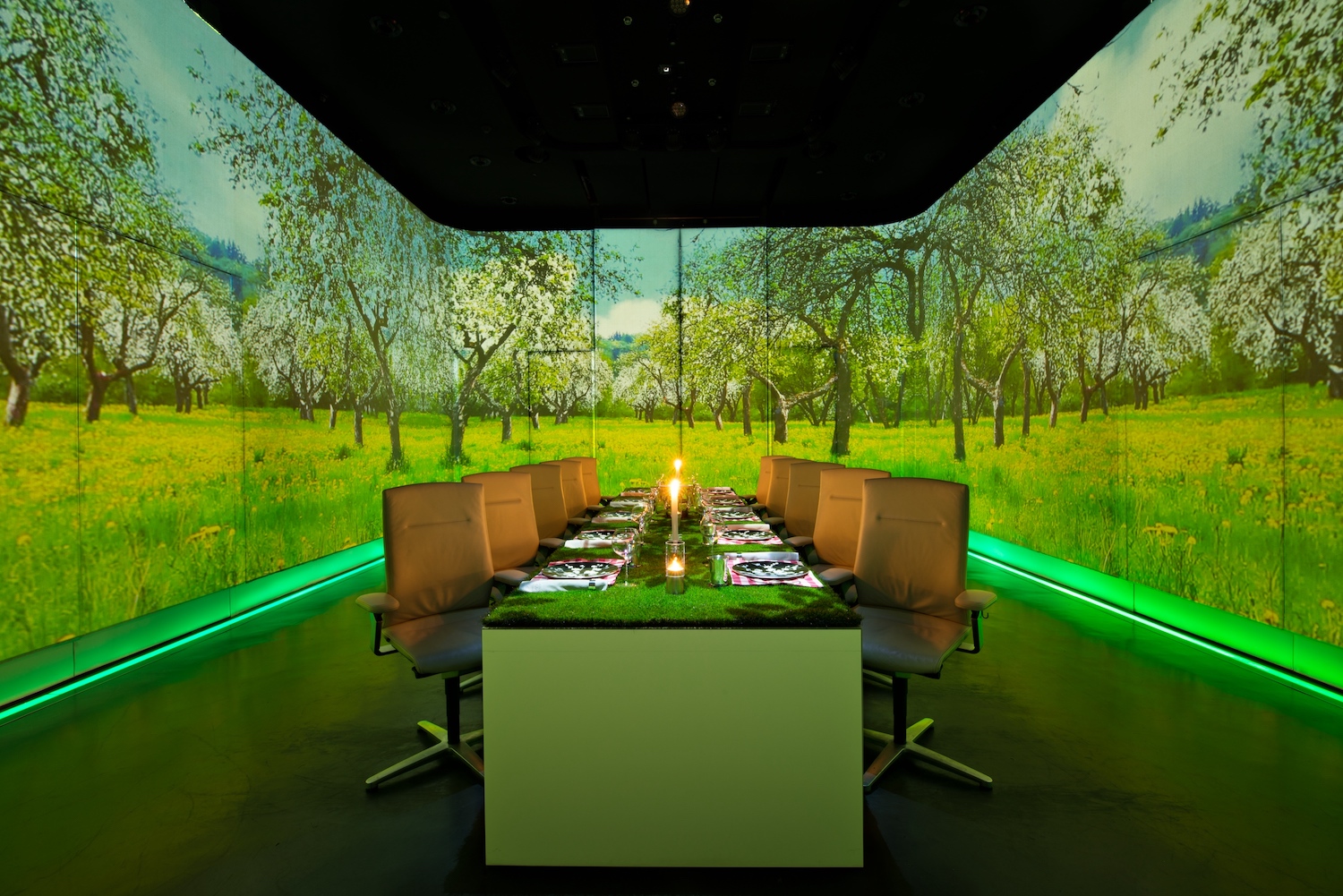 UV-ROOM-PICNIC-GREEN-MEADOWS-photo-Scott-Wright